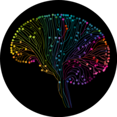 Multicolored Brain Connections On Black Sticker