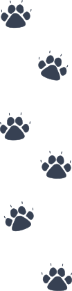 Multiple Wildcat Paw Prints Sticker