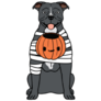 Mummy Pit Bull Sticker