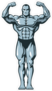 Muscle Bodybuilder Man Flexing Sticker