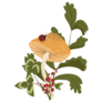 Mushroom Autumn Leaves And Ladybug Sticker