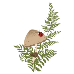 Mushroom Element Ladybug Sticker