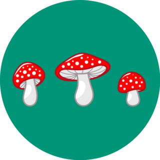 Mushroom Icon Set Amanita Muscaria On Green Sticker
