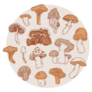 Mushroom Illustration Grouped In Circle Sticker