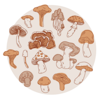 Mushroom Illustration Grouped In Circle Sticker