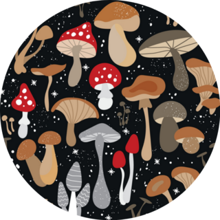 Mushroom Illustrations Chanterelles, Honey Agarics, Morels Sticker