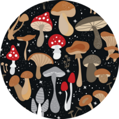 Mushroom Illustrations Chanterelles, Honey Agarics, Morels Sticker
