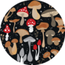 Mushroom Illustrations Chanterelles, Honey Agarics, Morels Sticker