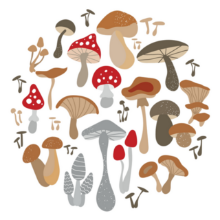 Mushroom Set Illustrations On White Sticker