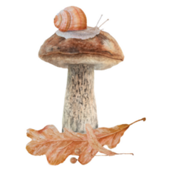 Mushroom, Snail, Dry Leaves Sticker