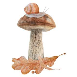 Mushroom, Snail, Dry Leaves Sticker