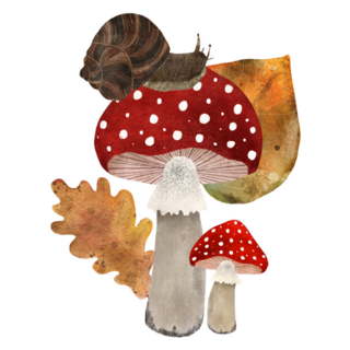 Mushrooms And Snail Fall Sticker