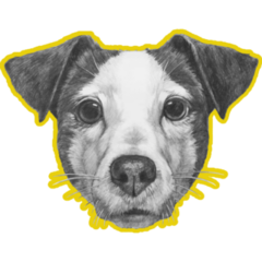 Mustard Jack Terrier Sticker