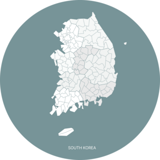 Muted Map Korea Sticker