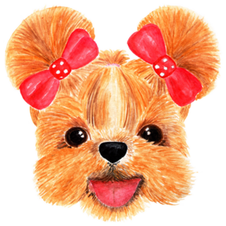 Muzzle Of A Shih-tzu Sticker