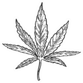 Narcotic Cannabis Leaf Engraving Illustration Sticker