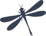 Narrow Dragonfly Sticker