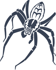 Nasty Detailed Spider Sticker