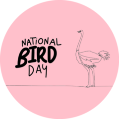 National Bird Day Ostrich Sticker 