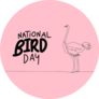 National Bird Day Ostrich Sticker 
