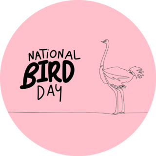 National Bird Day Ostrich Sticker 