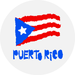 National Flag Of Puerto Rico In Torn Paper Grunge Sticker