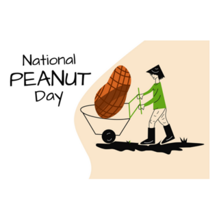 National Peanut Day Farming Illustration Sticker