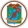Navy 2Nd Fleet Sticker