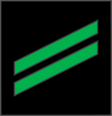 Navy Rank E-2 Airman Sticker