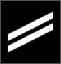 Navy Rank E-2 Seaman Sticker