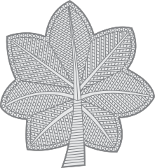 Navy Rank O-5 Commander Sticker