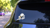 Navy Seabee Construction  Force Logo Sticker on a Rear Car Window (New) example