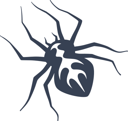 Neat Detailed Spider Sticker