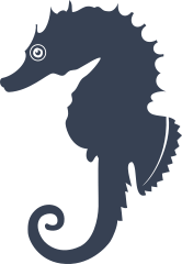 Neat Seahorse Sticker