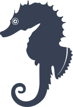 Neat Seahorse Sticker