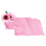 Nebraska State Pink Floral Sticker