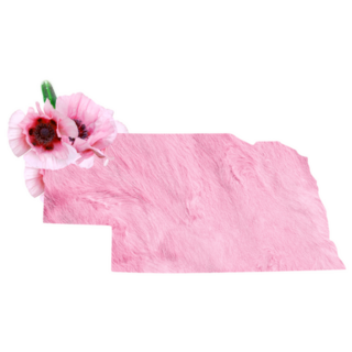 Nebraska State Pink Floral Sticker