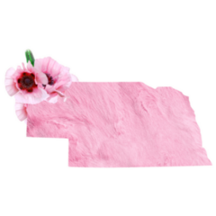 Nebraska State Pink Floral Sticker