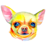 Neon Chihuahua Sticker