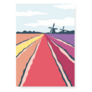 Netherlands Tulip Fields And Mills Sticker