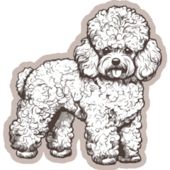 Neutral Poodle Sticker