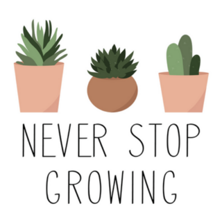 Never Stop Growing Potted Succulents Sticker