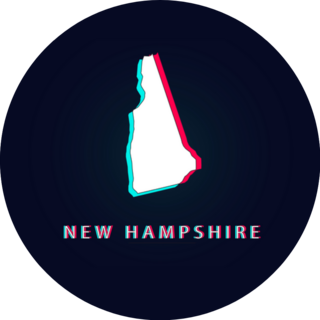 New Hampshire Map Abstract Digital Glitch Sticker