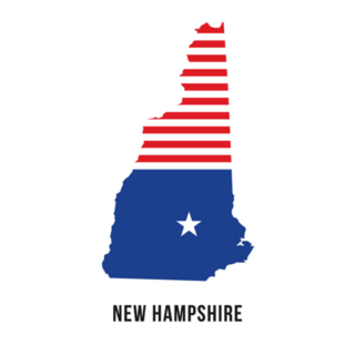 New Hampshire Patriot Flag Map Sticker