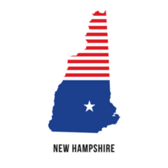 New Hampshire Patriot Flag Map Sticker
