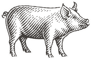New Year 2019 Sign Zodiac Pig Sticker