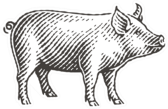 New Year 2019 Sign Zodiac Pig Sticker