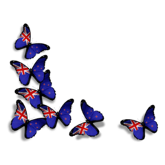 New Zealand Flag Butterflies Sticker