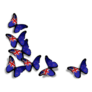 New Zealand Flag Butterflies Sticker