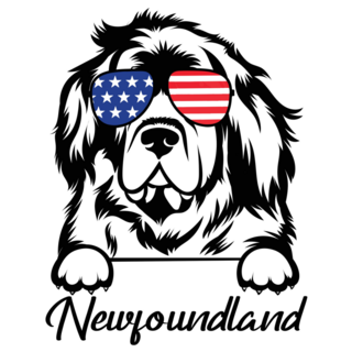 Newfie American Sticker